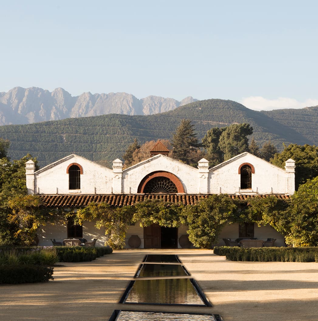 THE BEST VINEYARD IN CHILE