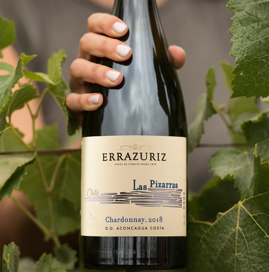 Información de UNA VIDA DEDICADA AL RECONOCIMIENTO DE LOS VINOS CHILENOS