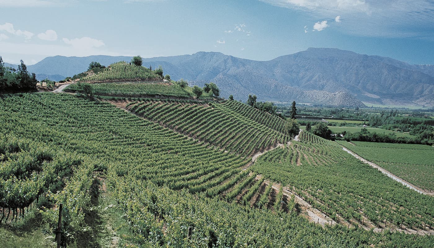 VALLE DE ACONCAGUA